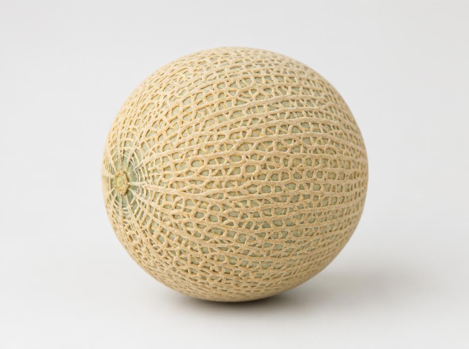 Cantaloupe