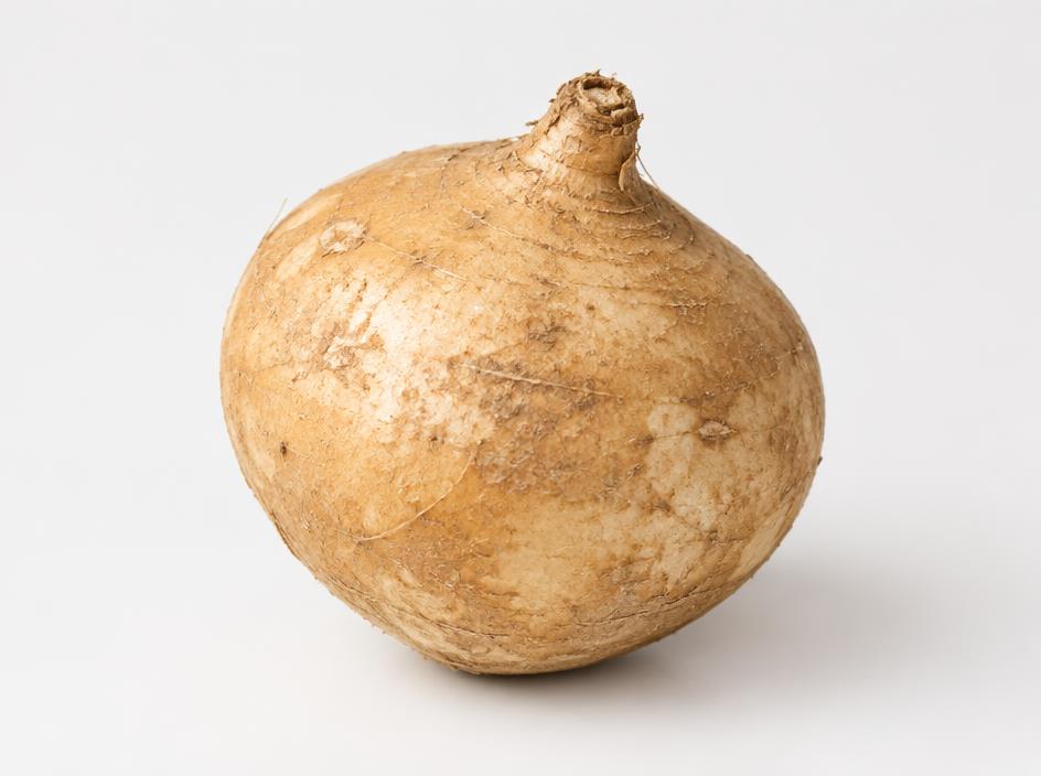 Jícama