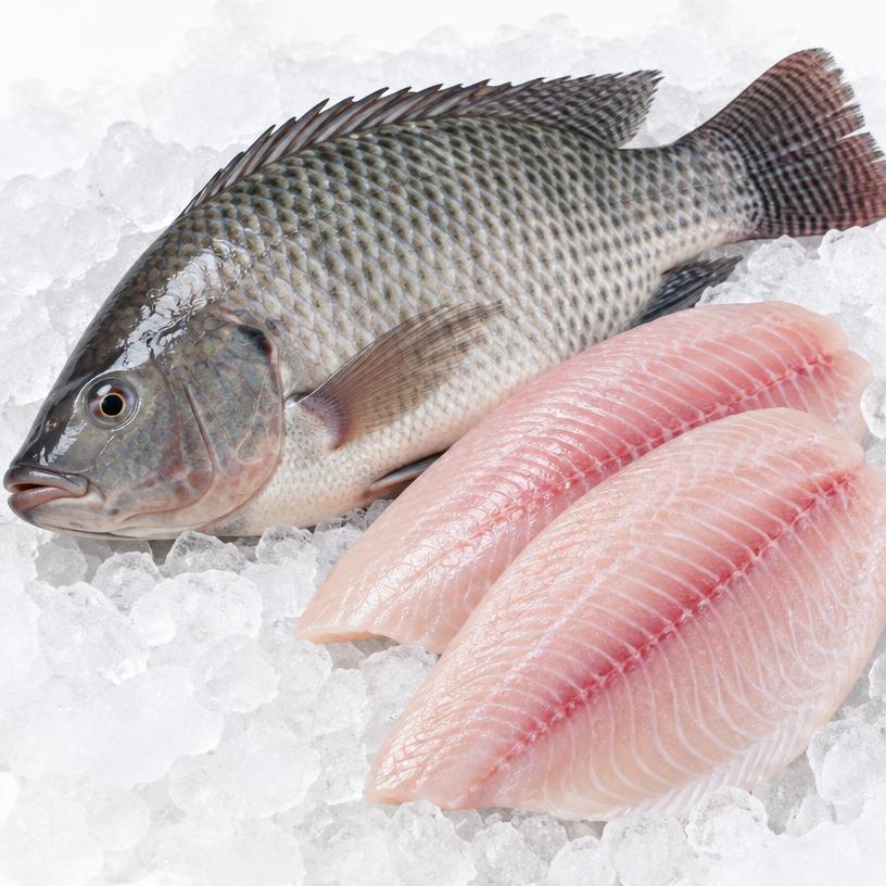 Pescado Tilapia
