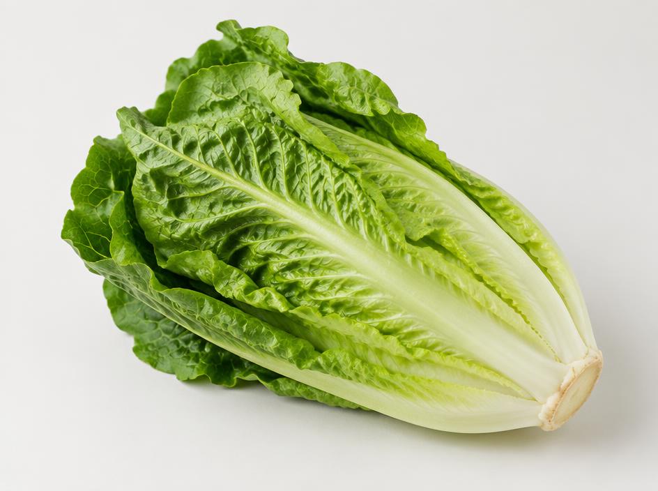 Romaine Lettuce